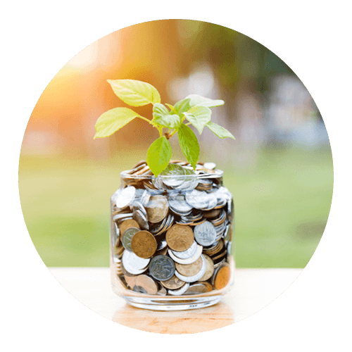 Wealth Interest Wealth